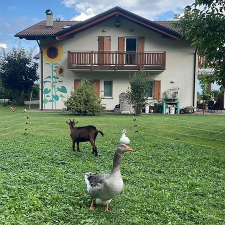 פאי דלה פאגאנלה Agriturismo Girasole מראה חיצוני תמונה