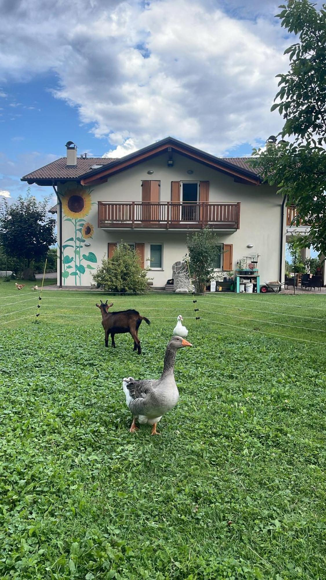 פאי דלה פאגאנלה Agriturismo Girasole מראה חיצוני תמונה